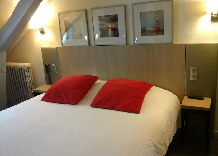 Hôtel accueillant les animaux: Hôtel Carmin